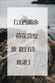 江西新余：荷花竞绽放 夏日诗意浓