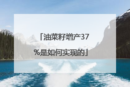 油菜籽增产37%是如何实现的