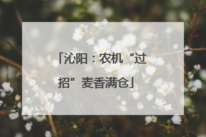 沁阳：农机“过招”麦香满仓
