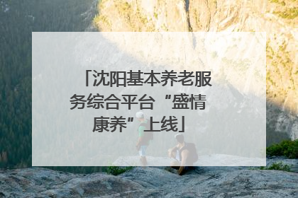 沈阳基本养老服务综合平台“盛情康养”上线