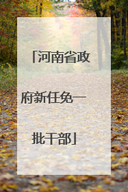 河南省政府新任免一批干部