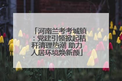 河南兰考考城镇：党建引领掀起秸秆清理热潮 助力人居环境焕新颜