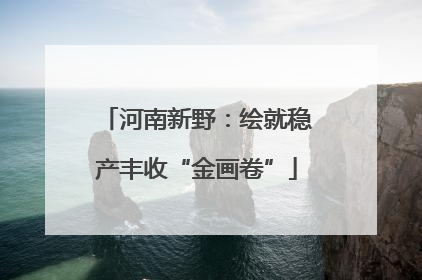 河南新野：绘就稳产丰收“金画卷”