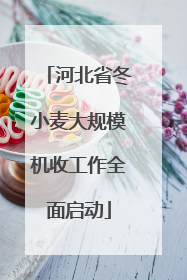 河北省冬小麦大规模机收工作全面启动