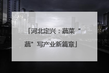 河北定兴：蔬菜“蔬”写产业新篇章