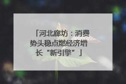 河北廊坊：消费势头稳点燃经济增长“新引擎”