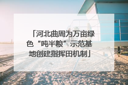 河北曲周为万亩绿色“吨半粮”示范基地创建指挥田机制