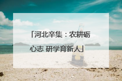 河北辛集：农耕砺心志 研学育新人