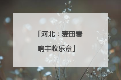 河北：麦田奏响丰收乐章