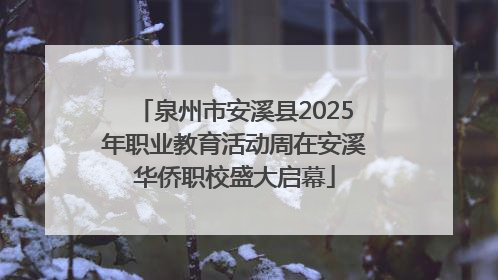泉州市安溪县2025年职业教育活动周在安溪华侨职校盛大启幕