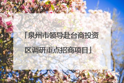 泉州市领导赴台商投资区调研重点招商项目
