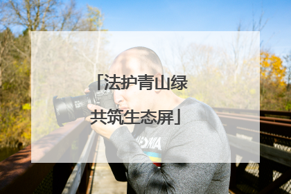 法护青山绿 共筑生态屏