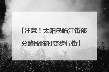 注意！太阳岛临江街部分路段临时变步行街