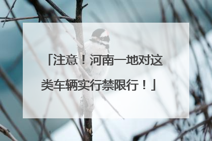 注意！河南一地对这类车辆实行禁限行！