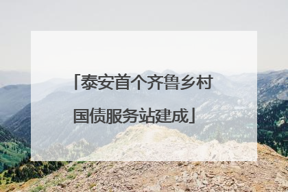 泰安首个齐鲁乡村国债服务站建成