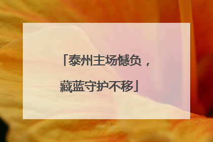 泰州主场憾负，藏蓝守护不移