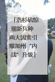 洛杉矶惊现新兵种 两大因素引爆加州“内战”升级