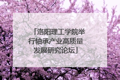 洛阳理工学院举行轴承产业高质量发展研究论坛