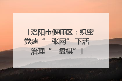 洛阳市偃师区：织密党建“一张网” 下活治理“一盘棋”