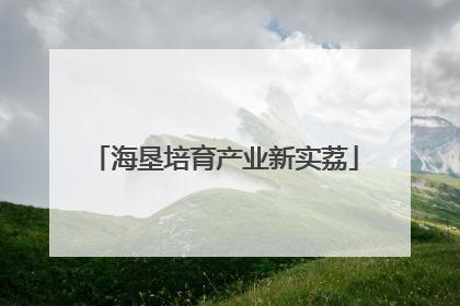 海垦培育产业新实荔