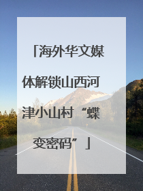 海外华文媒体解锁山西河津小山村“蝶变密码”