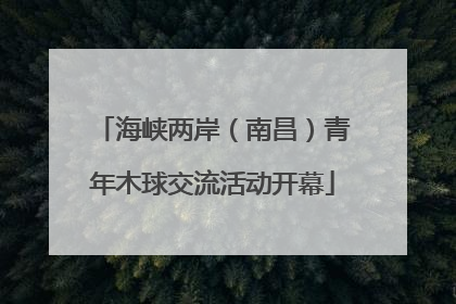 海峡两岸（南昌）青年木球交流活动开幕