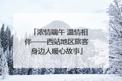 浓情端午 温情相伴——西站地区旅客身边人暖心故事