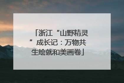 浙江“山野精灵”成长记：万物共生绘就和美画卷