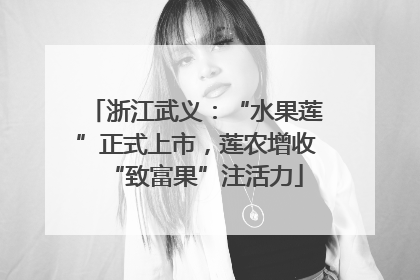 浙江武义：“水果莲”正式上市，莲农增收“致富果”注活力