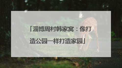 淄博周村韩家窝：像打造公园一样打造家园