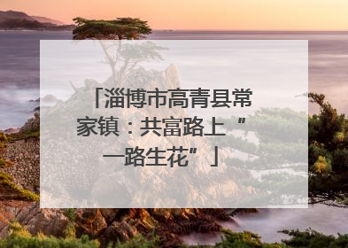 淄博市高青县常家镇：共富路上“一路生花”