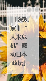 深观察丨“大米危机”撼动日本政坛