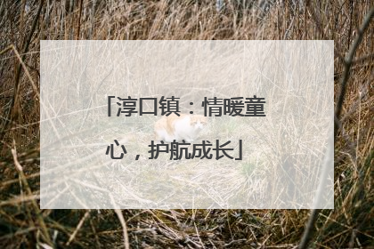 淳口镇：情暖童心，护航成长