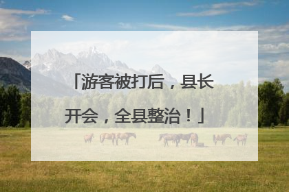 游客被打后，县长开会，全县整治！