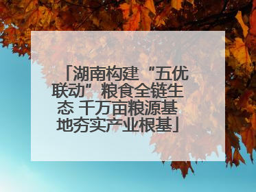 湖南构建“五优联动”粮食全链生态 千万亩粮源基地夯实产业根基