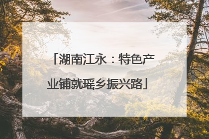 湖南江永：特色产业铺就瑶乡振兴路
