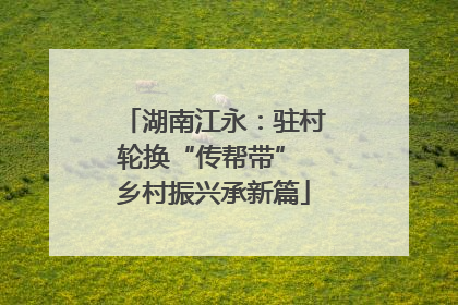 湖南江永：驻村轮换“传帮带” 乡村振兴承新篇