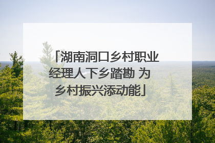 湖南洞口乡村职业经理人下乡踏勘 为乡村振兴添动能