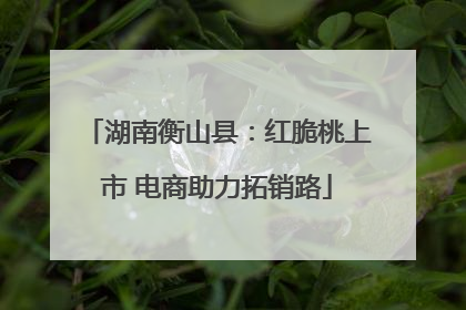 湖南衡山县：红脆桃上市 电商助力拓销路