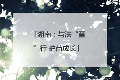 湖南：与法“童”行 护苗成长