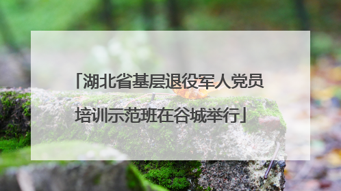湖北省基层退役军人党员培训示范班在谷城举行