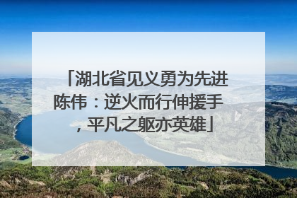 湖北省见义勇为先进陈伟：逆火而行伸援手，平凡之躯亦英雄