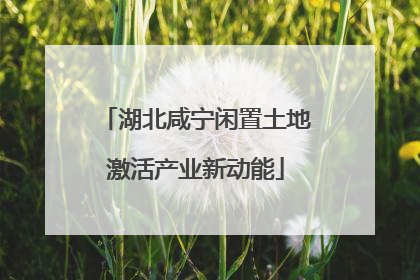 湖北咸宁闲置土地激活产业新动能