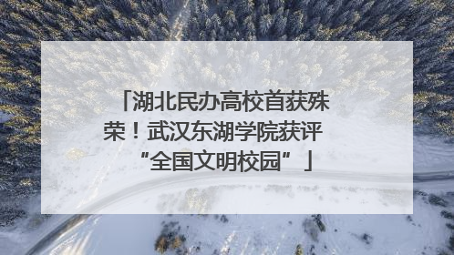 湖北民办高校首获殊荣！武汉东湖学院获评“全国文明校园”
