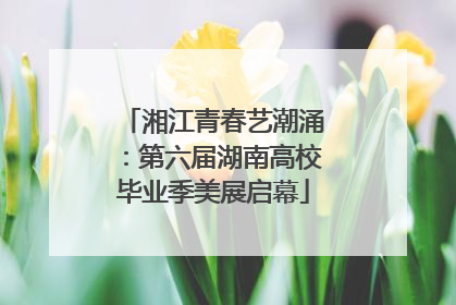 湘江青春艺潮涌：第六届湖南高校毕业季美展启幕