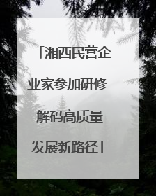 湘西民营企业家参加研修 解码高质量发展新路径