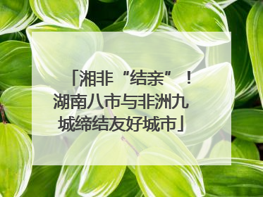 湘非“结亲”！湖南八市与非洲九城缔结友好城市