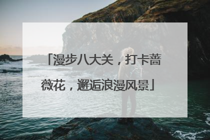 漫步八大关，打卡蔷薇花，邂逅浪漫风景
