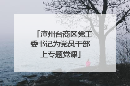 漳州台商区党工委书记为党员干部上专题党课