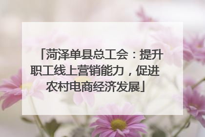 菏泽单县总工会：提升职工线上营销能力，促进农村电商经济发展